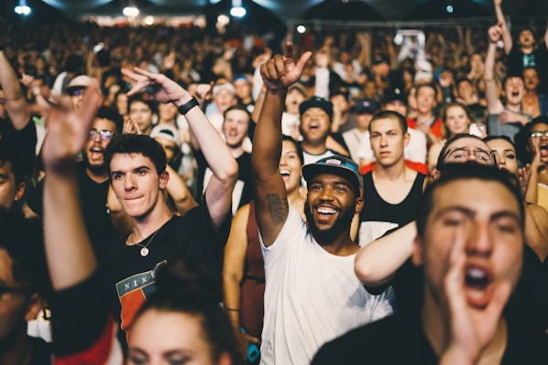 Festival crowd enjoying live music
